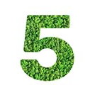 5