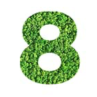8
