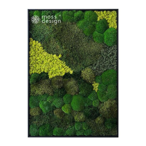 Hranatý mechový obraz VERDANT ALFA